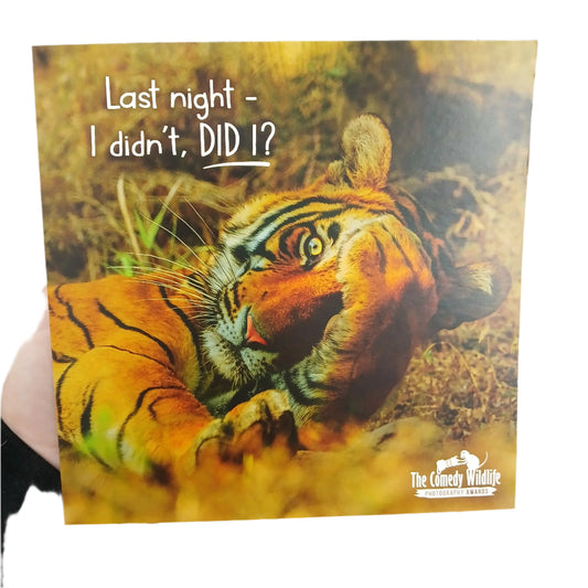 Birthday Card |  Humour/Tiger - I didn't did I?