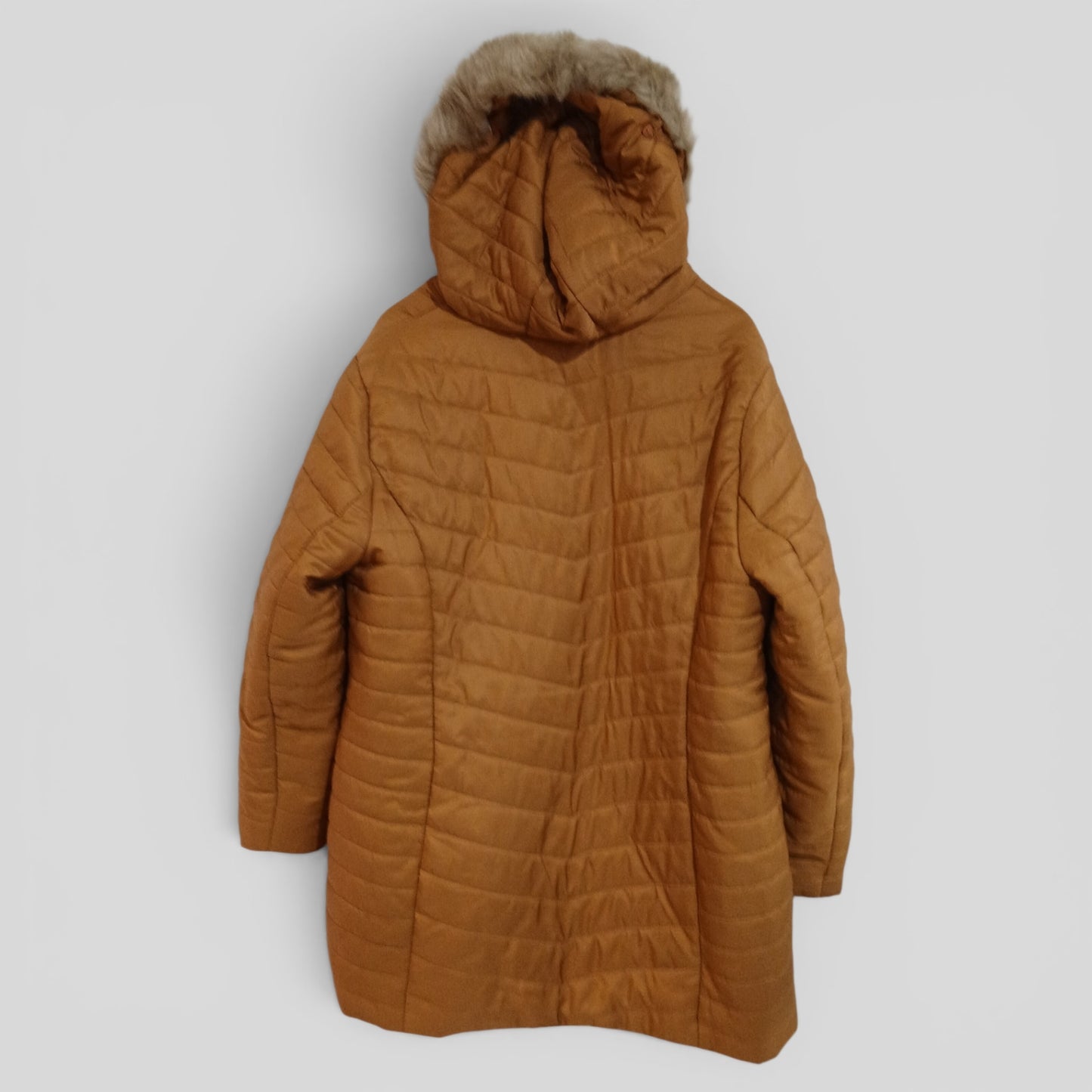 (22) Autograph | Jacket