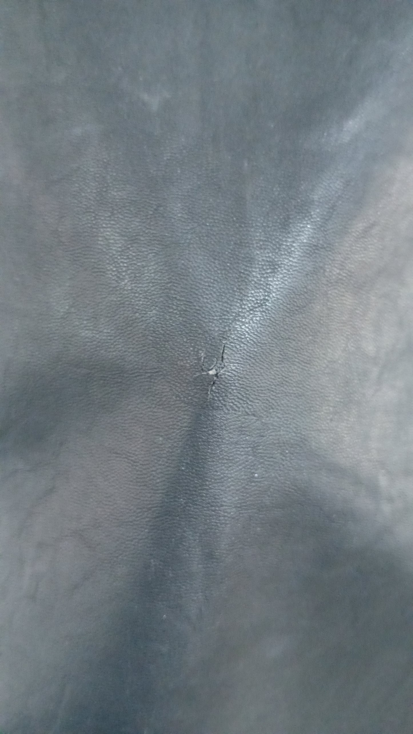 (L) Country Road | Black Skirt