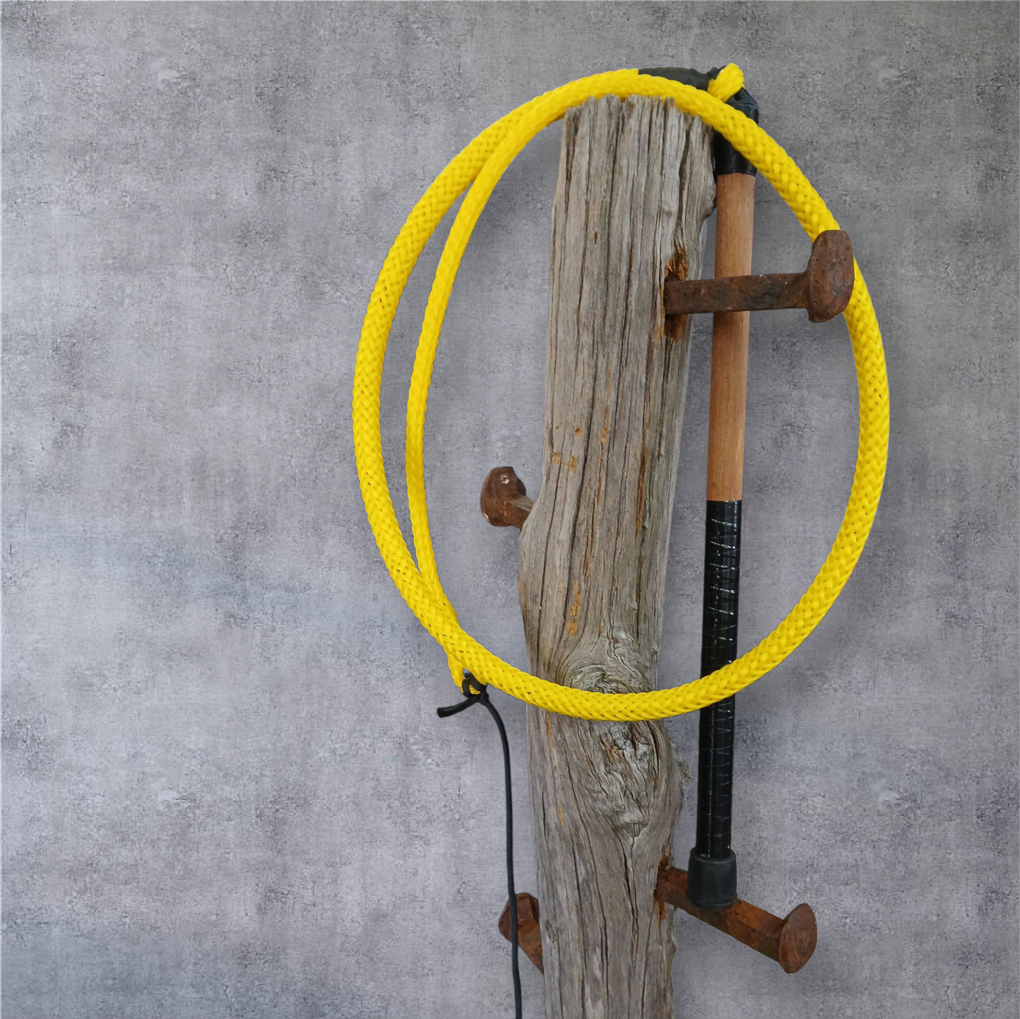 Image of Ski Rope Stock Whips