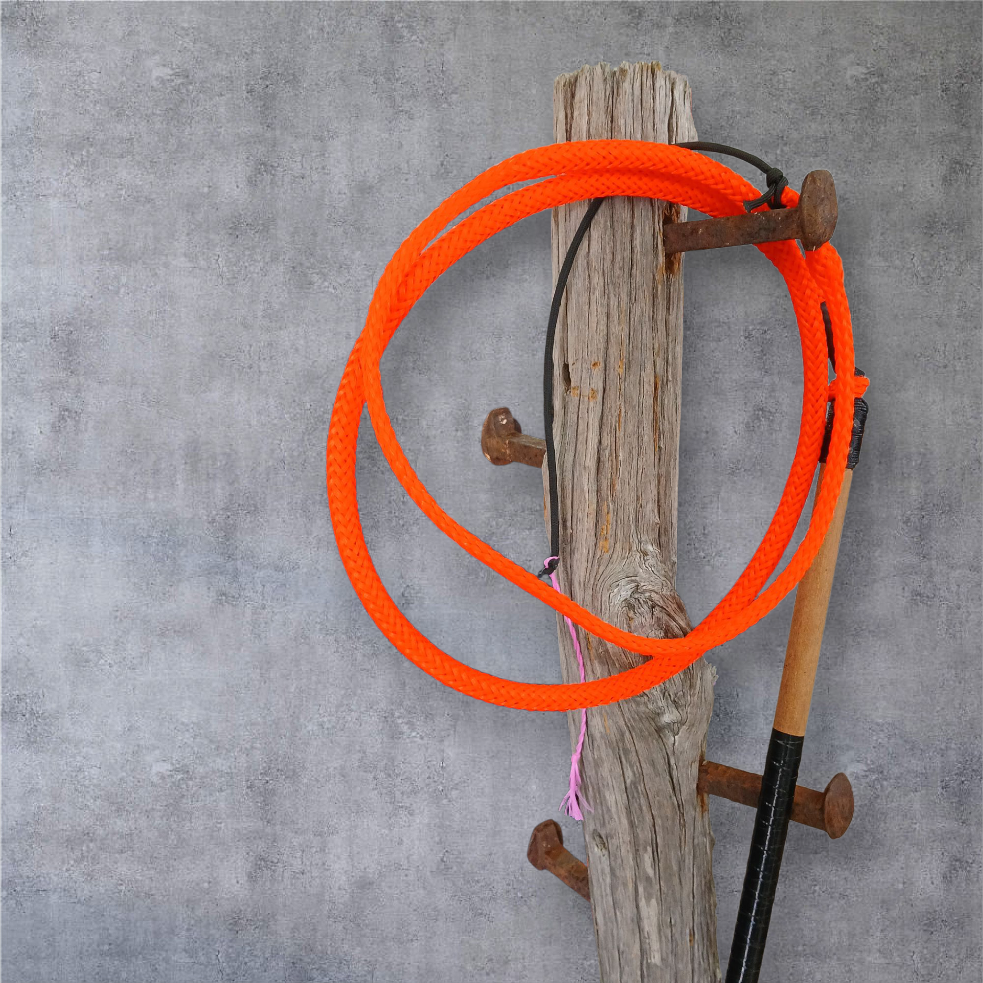 Image of Ski Rope Stock Whips