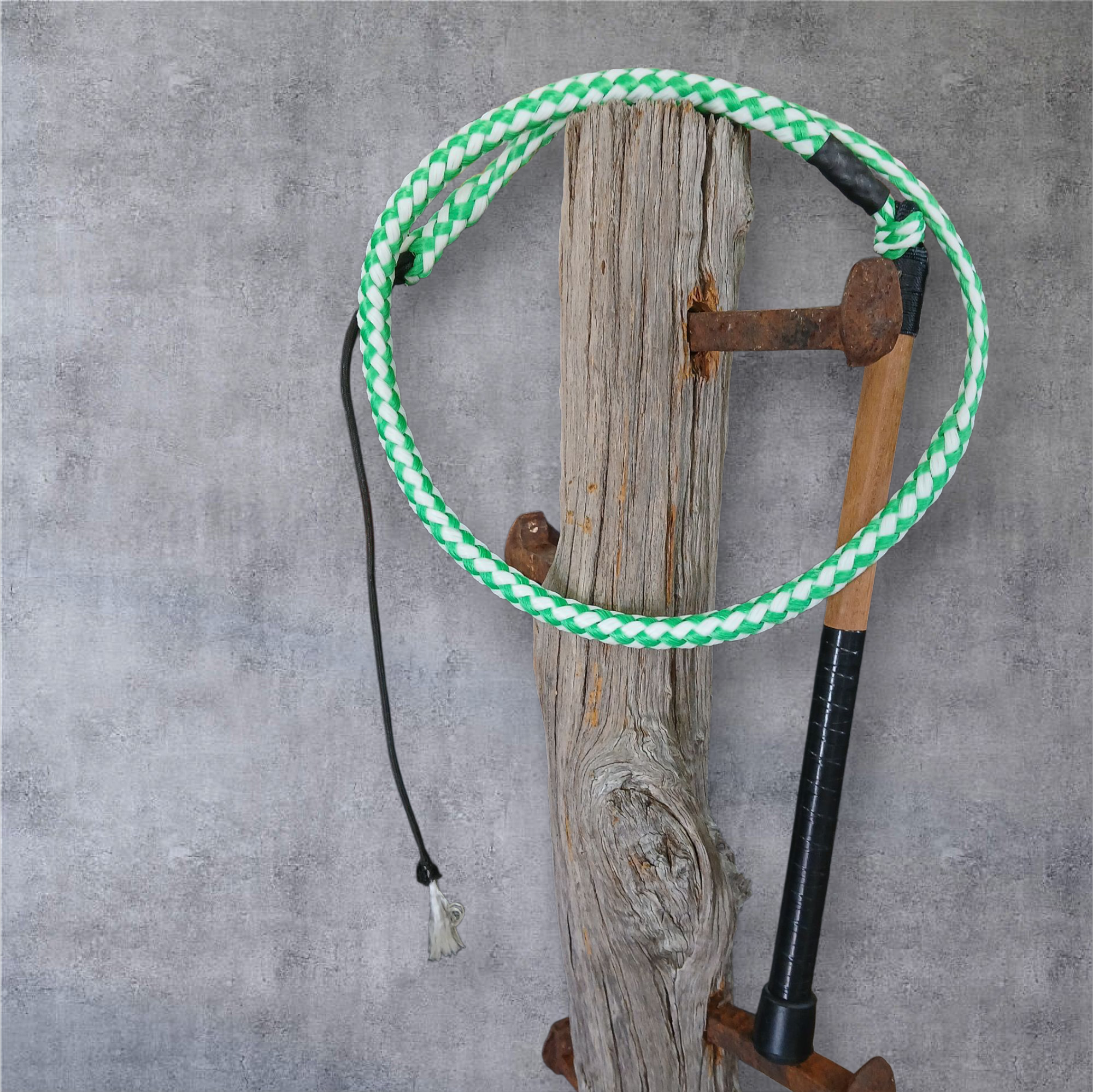 Image of Ski Rope Stock Whips