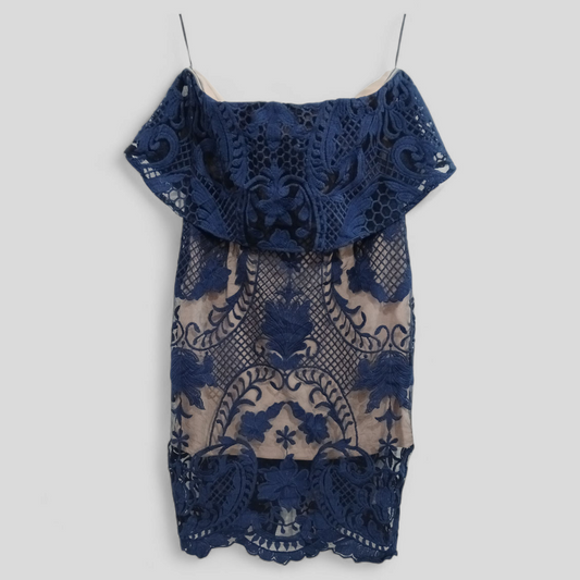 (12) Blossom | Blue Lace Strapless Dress