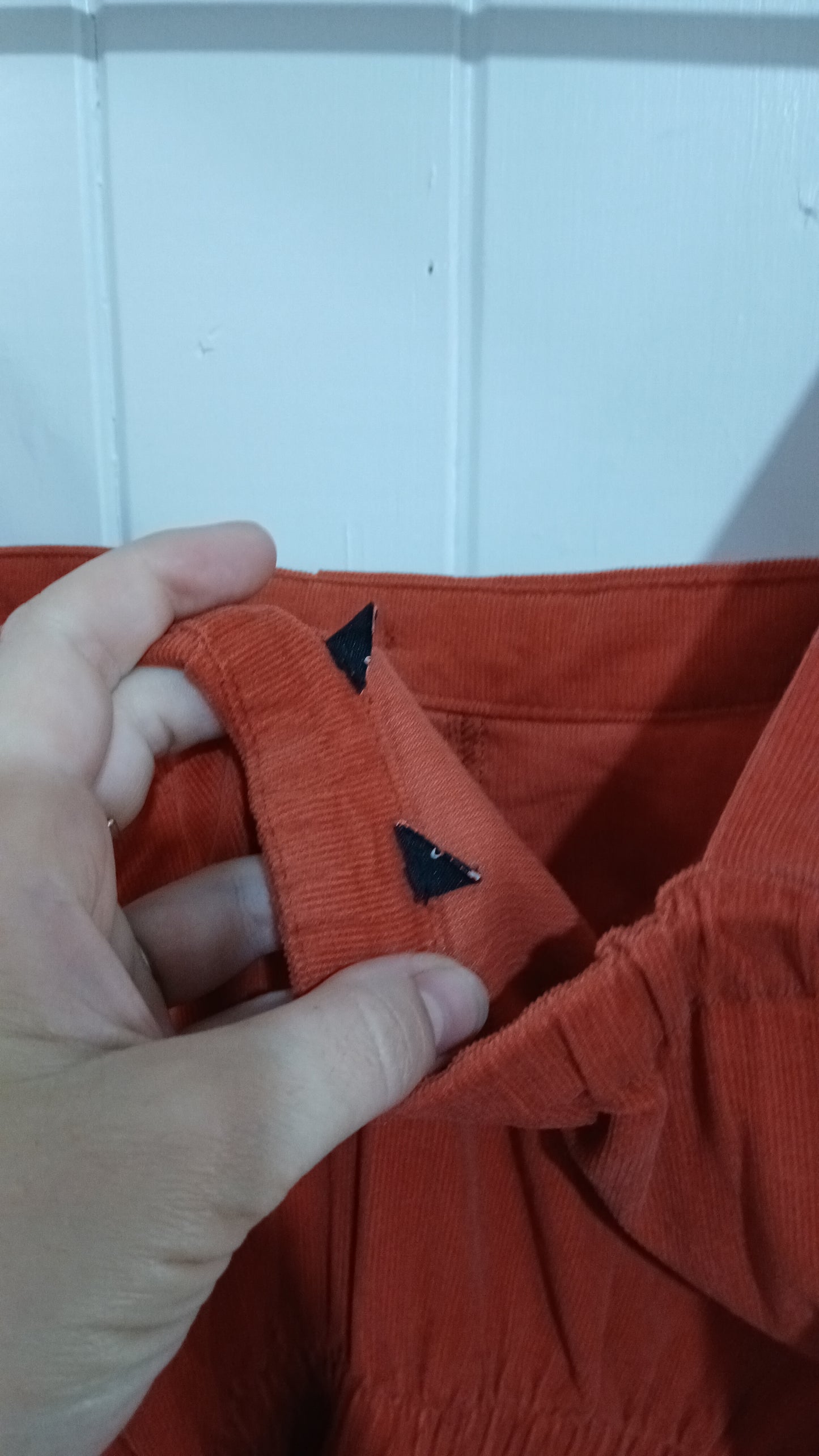 (L) Rust Orange Corduroy Dress