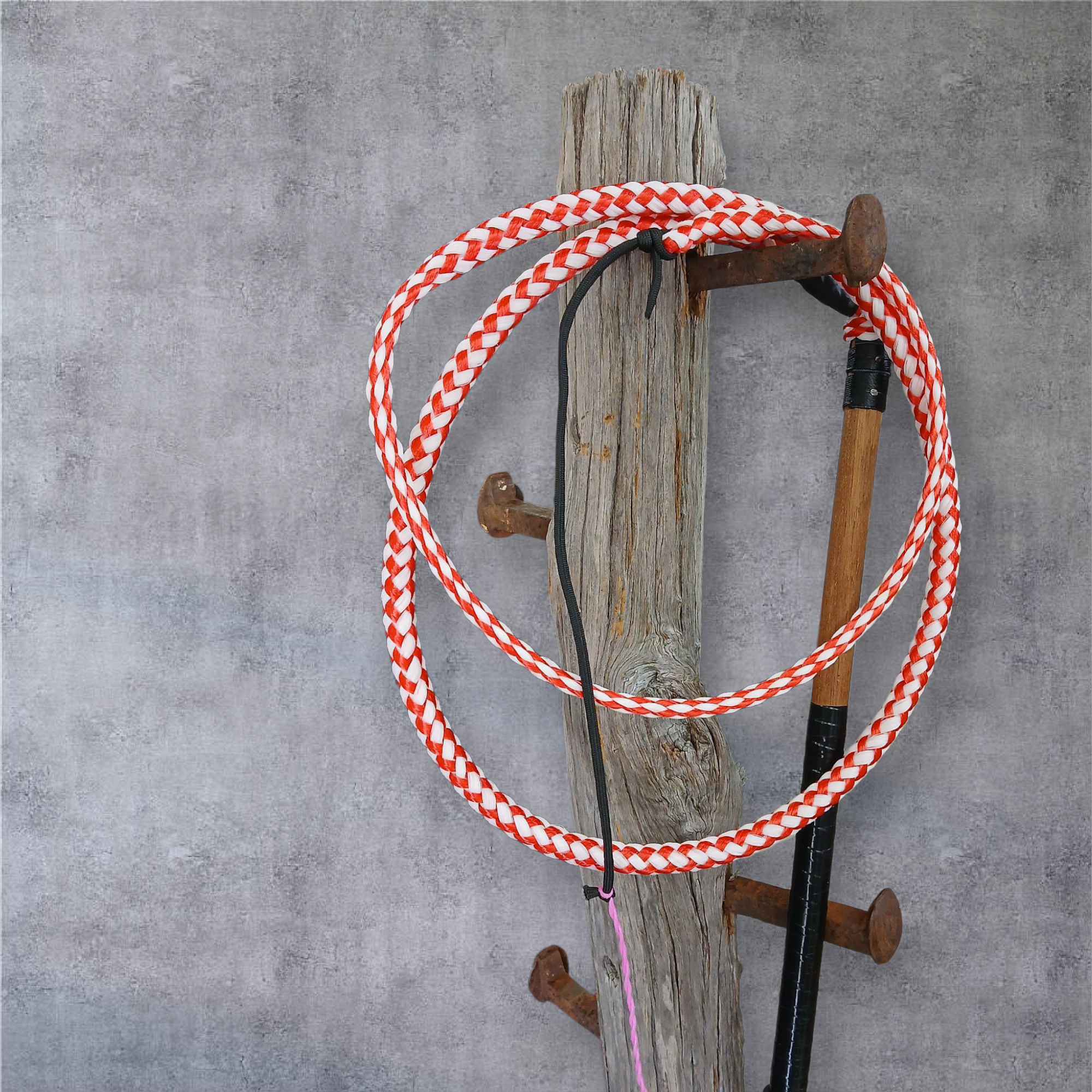 Image of Ski Rope Stock Whips