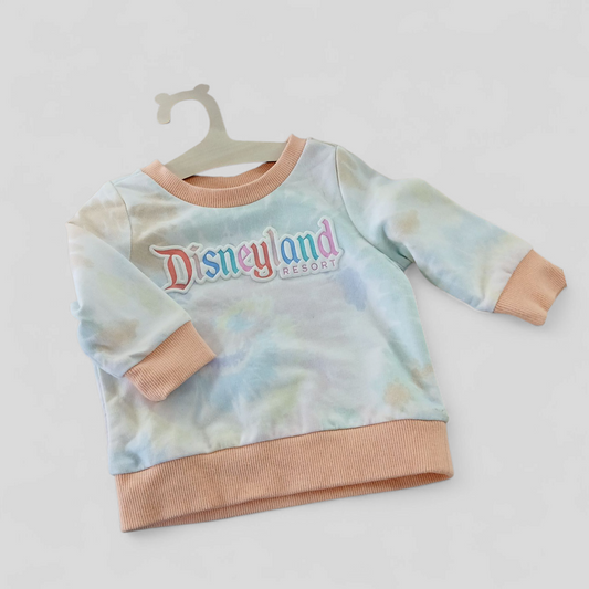 (00) Disneyland Resort Jumper