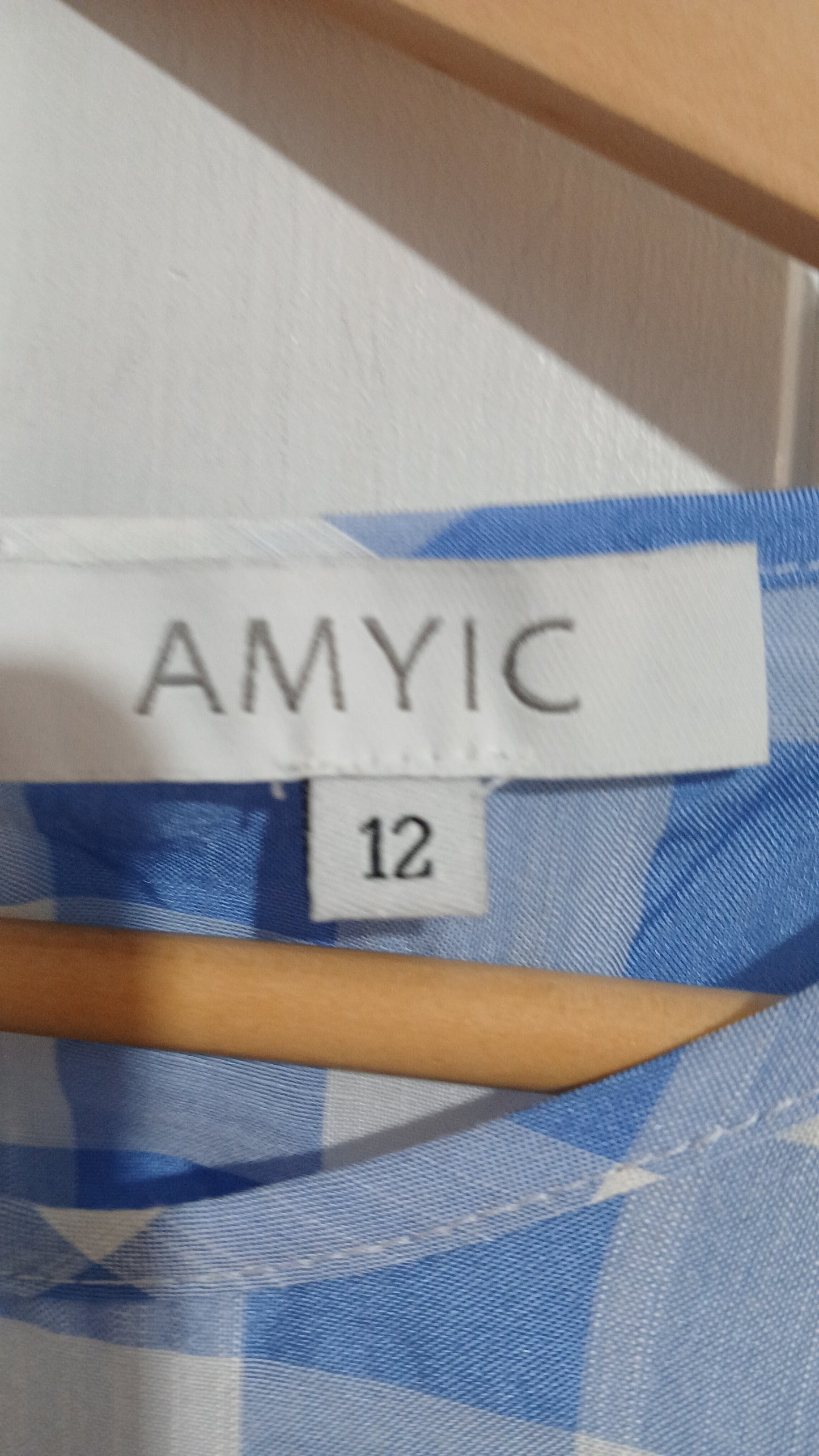 (12) AMYIC | Blue Gingham Dress