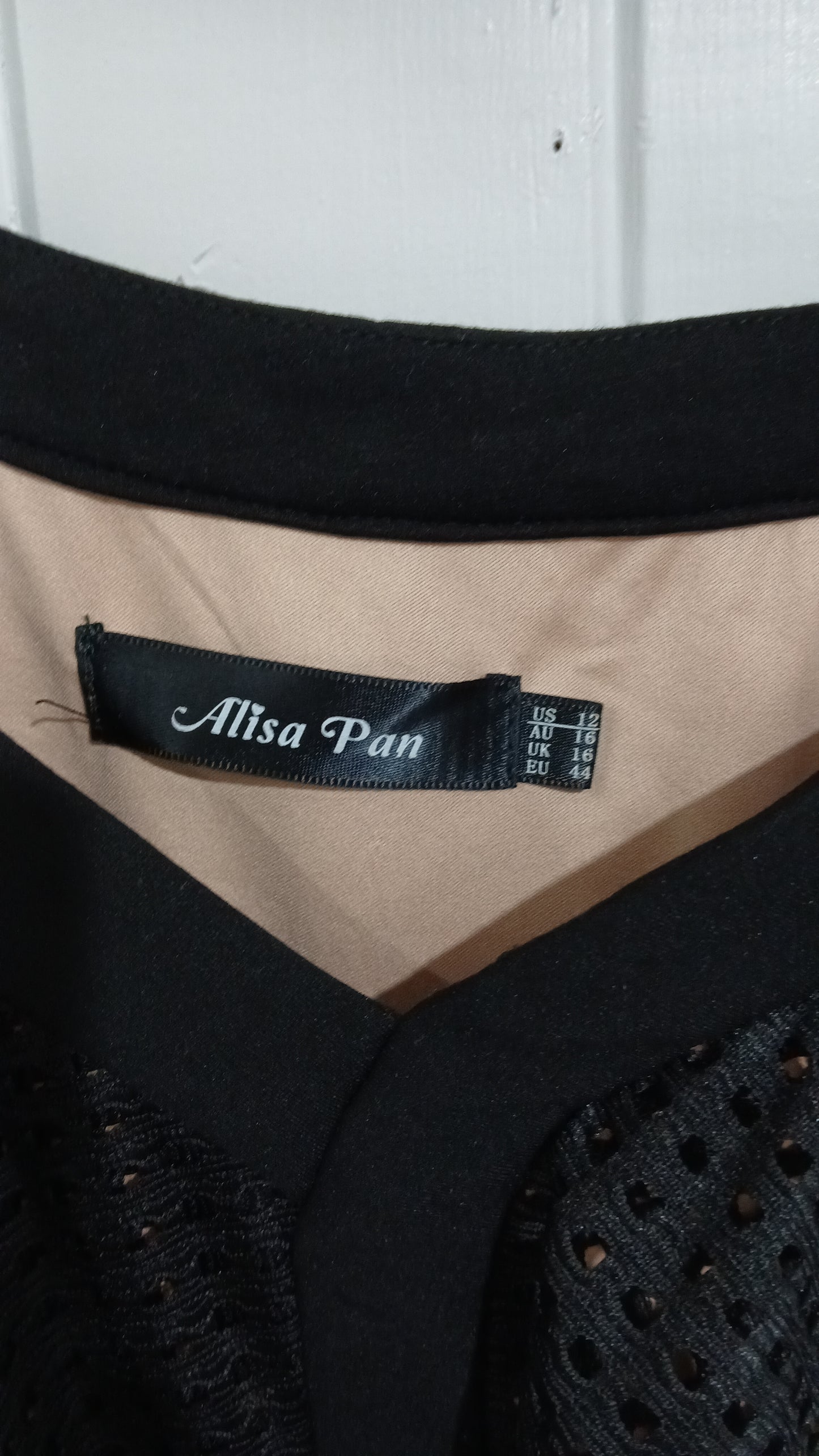 (16) Alisa Pan | Dress