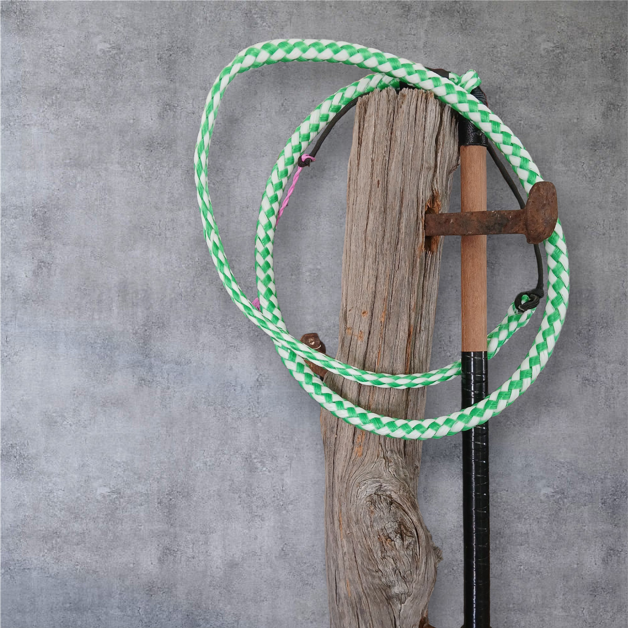 Image of Ski Rope Stock Whips