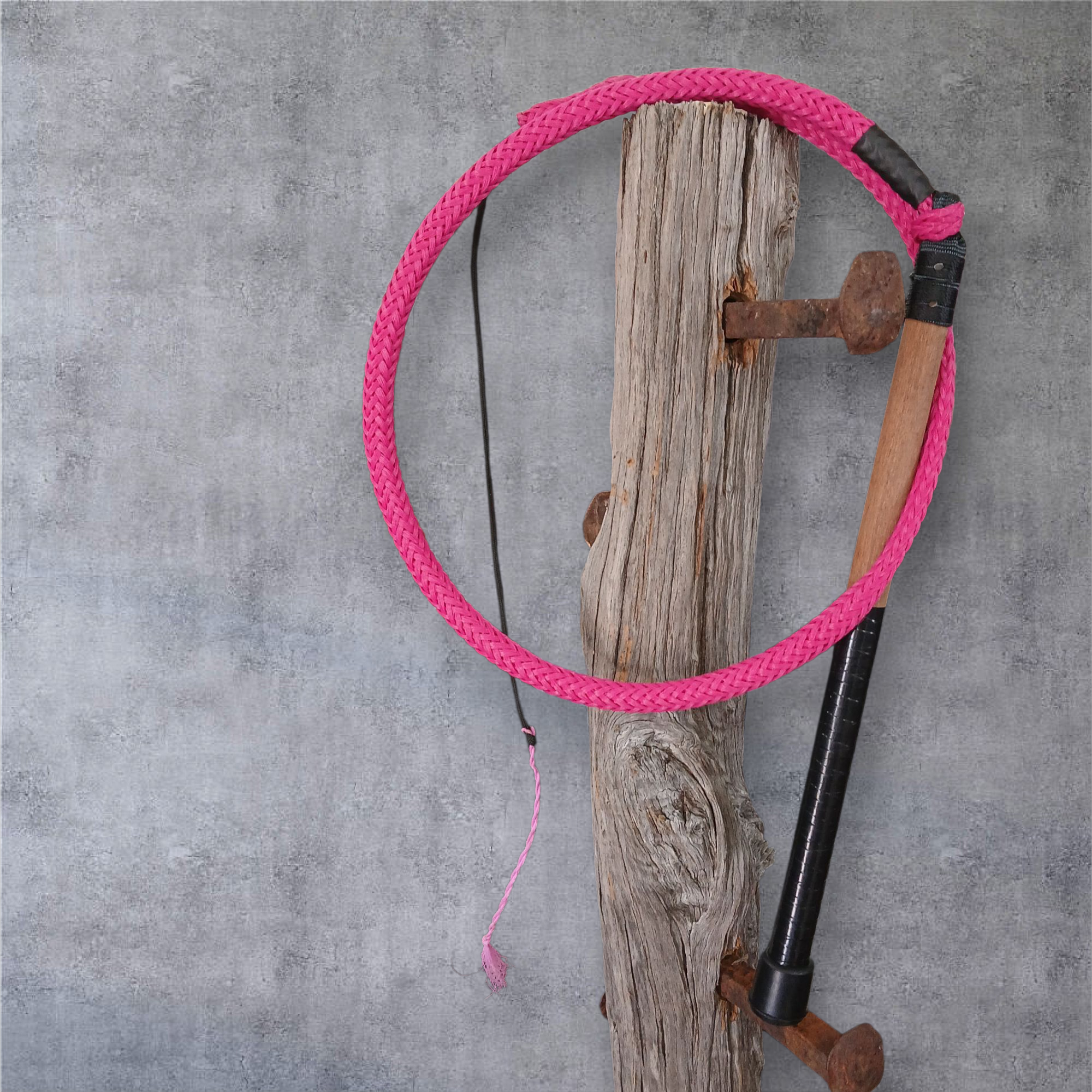 Image of Ski Rope Stock Whips