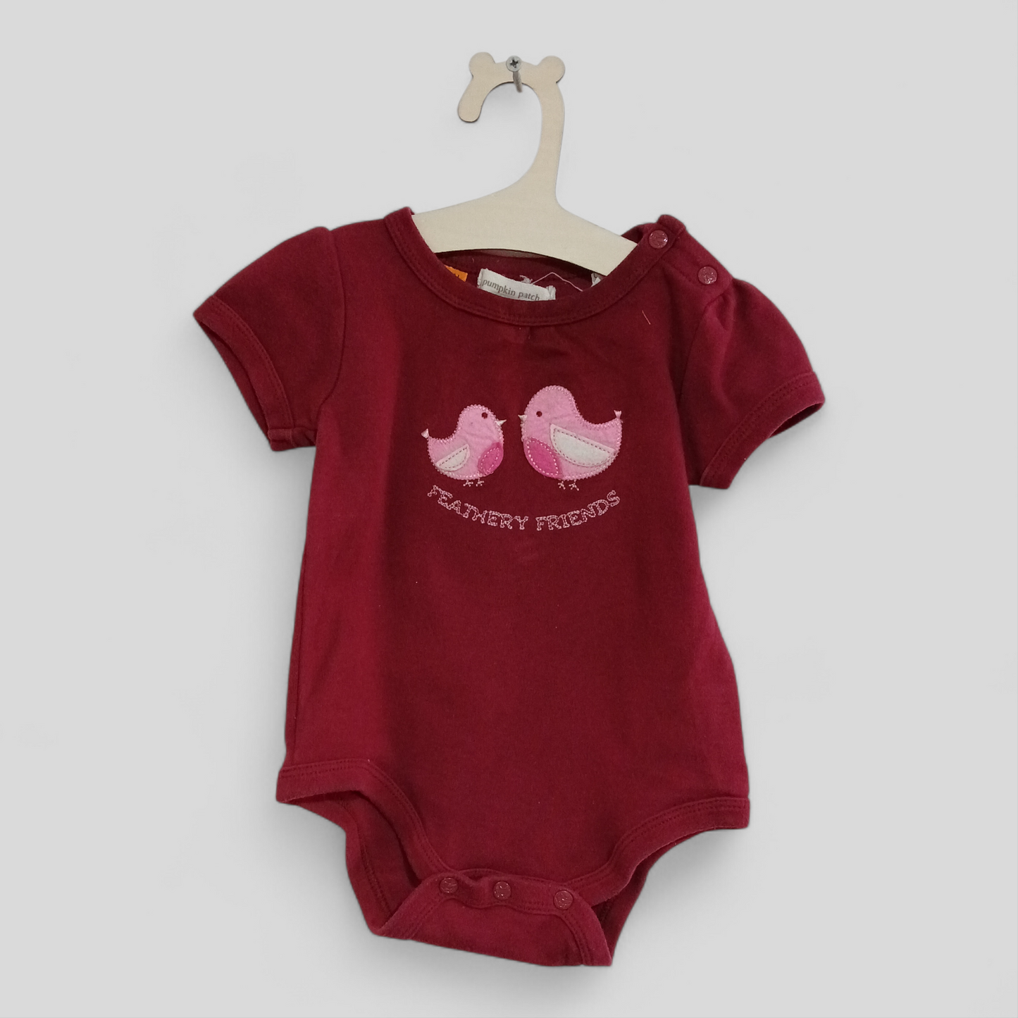 (00JNR) Pumpkin Patch | Feathery Friends Onesie