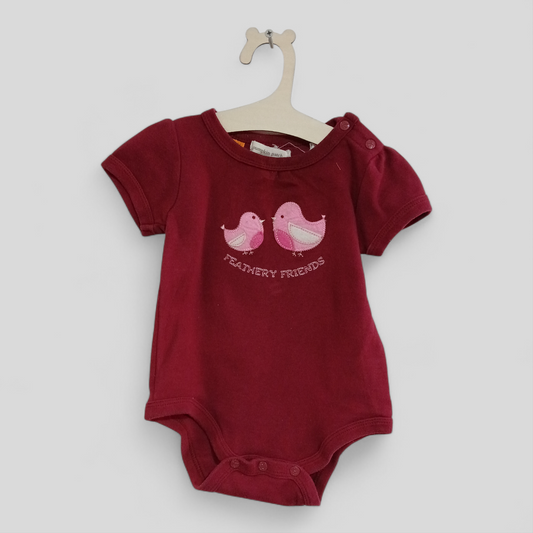 (00JNR) Pumpkin Patch | Feathery Friends Onesie