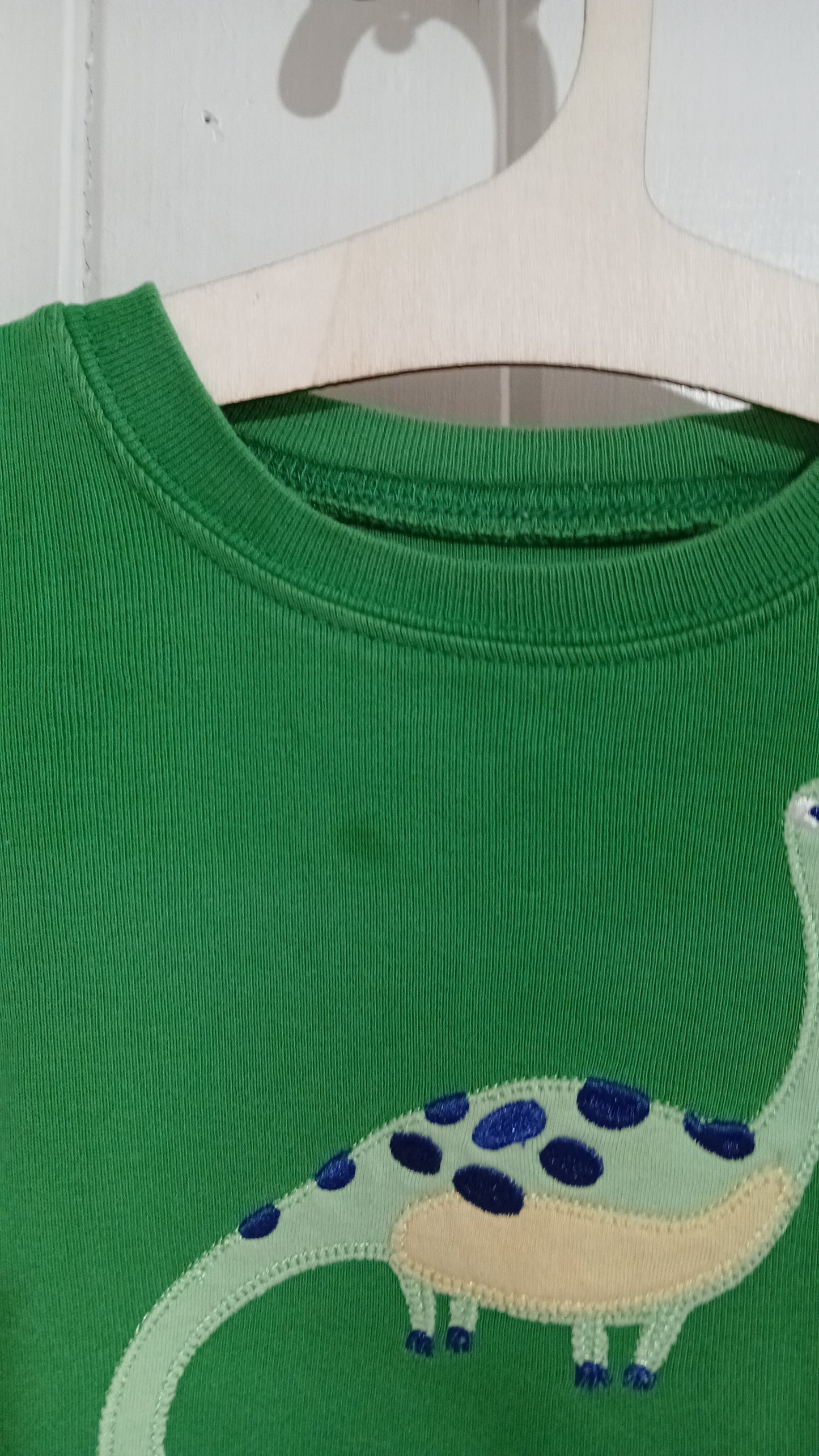 (1JNR) Dino LS Shirt