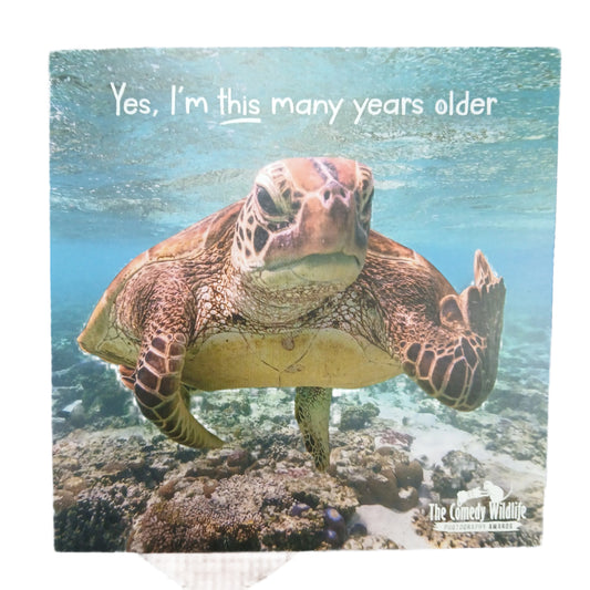 Birthday Card |  Humour/Turtle - I'm this many years older